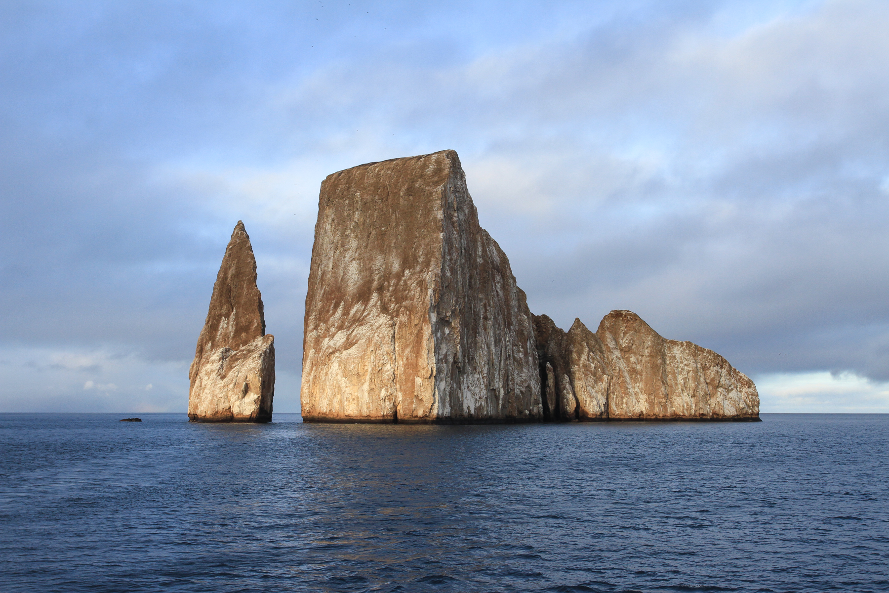 Galapagos Birding Tours - Wildlife - Birdwatching - Birdquest