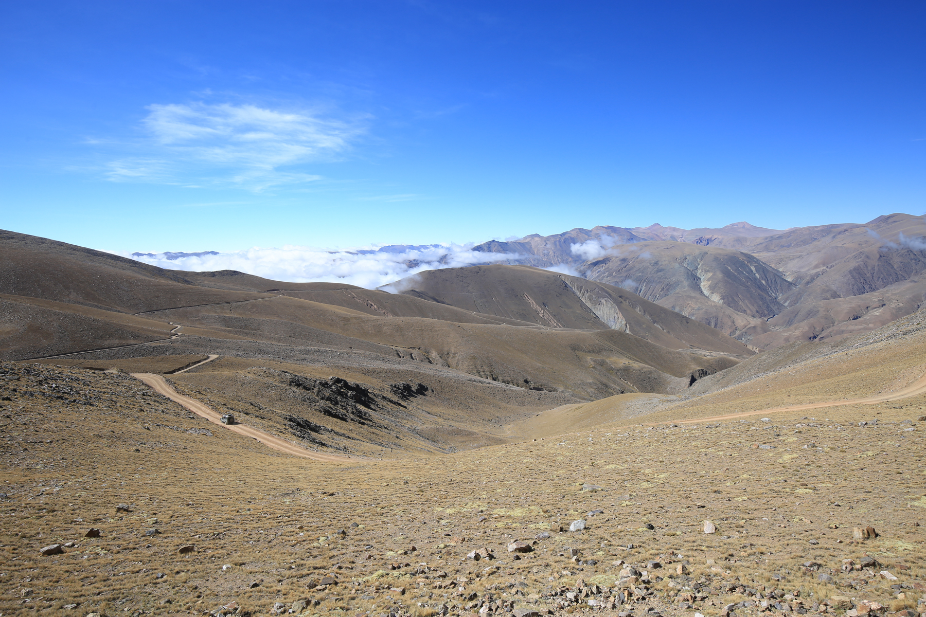 Northern Argentina Birding Tours - Birdwatching Tours - Birdquest